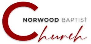 2023-CONSTITUTION-FOR-THE-SITE-300x147